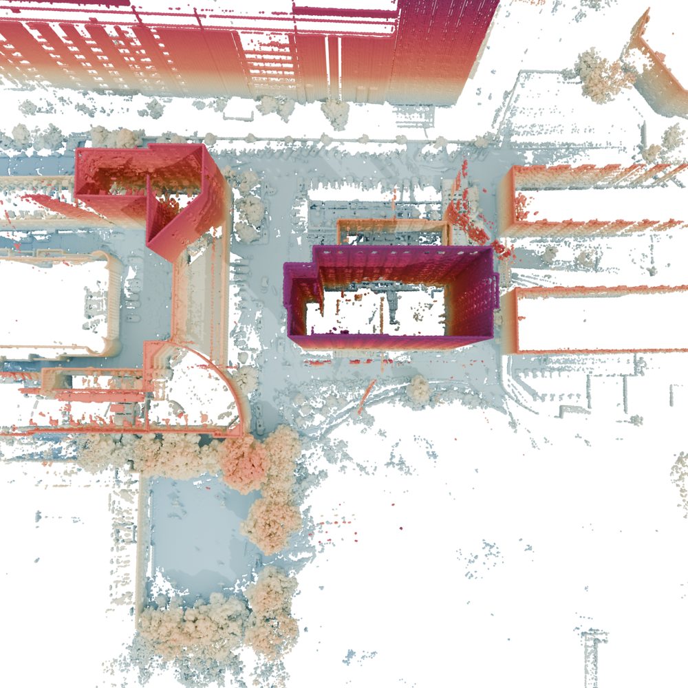 Snail dataset — Top view